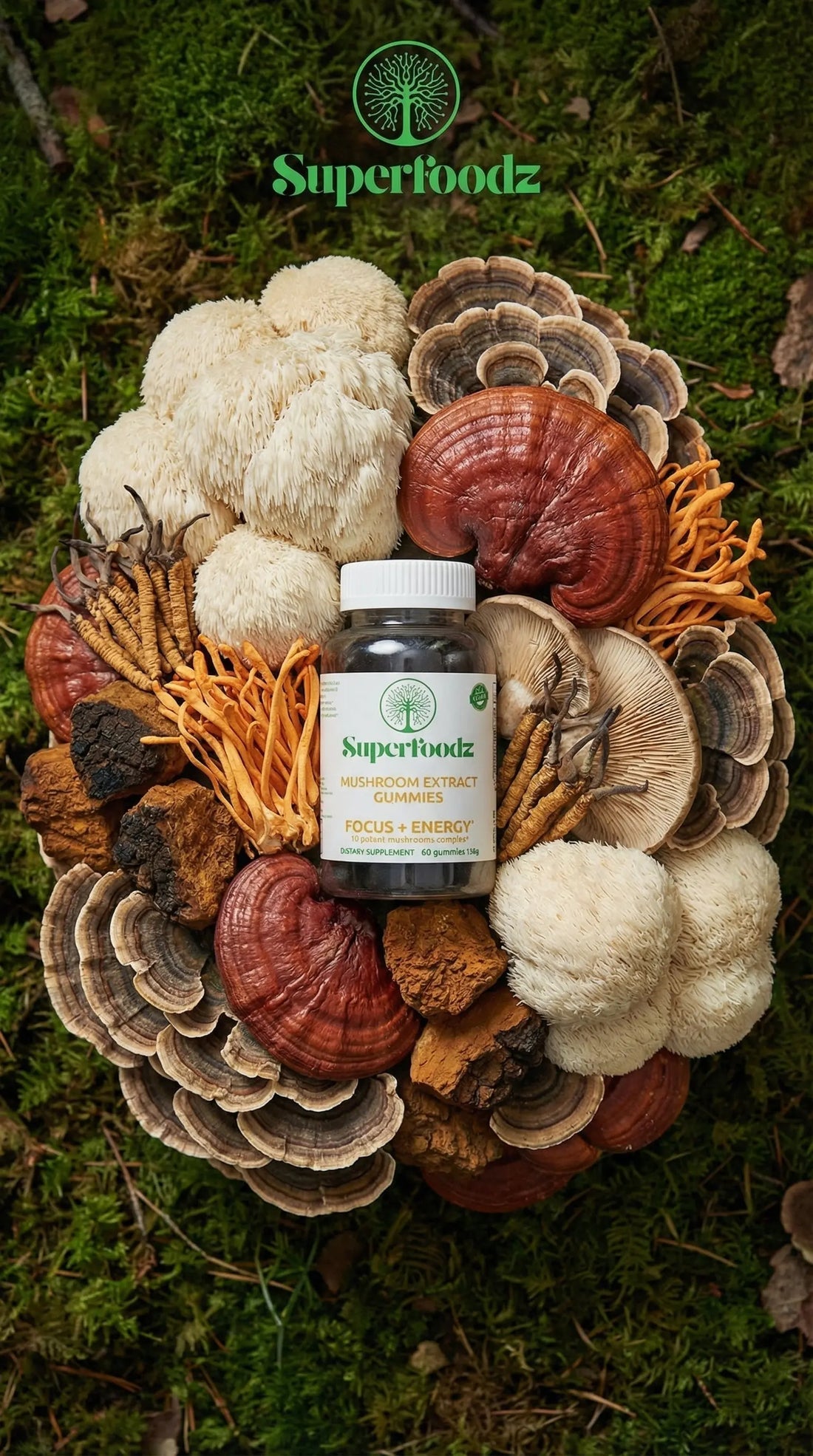 functional mushrooms guide - quality extraction dosage